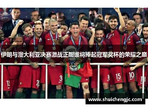 伊朗与澳大利亚决赛激战正酣谁将捧起冠军奖杯的荣耀之巅